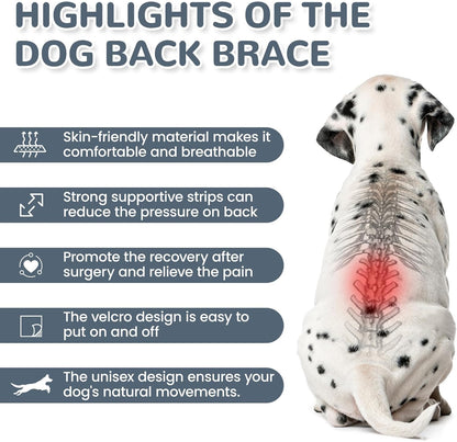 LETSQK pet recovery suit back view showing spinal alignment stabilization
