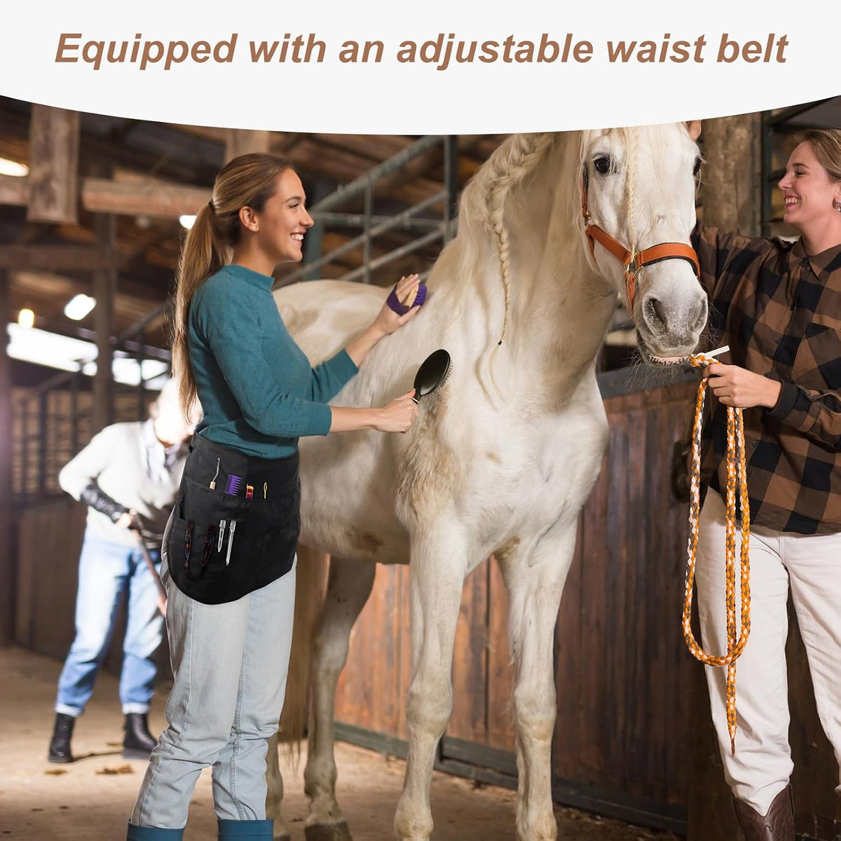 Complete horse grooming set with professional black storage apron