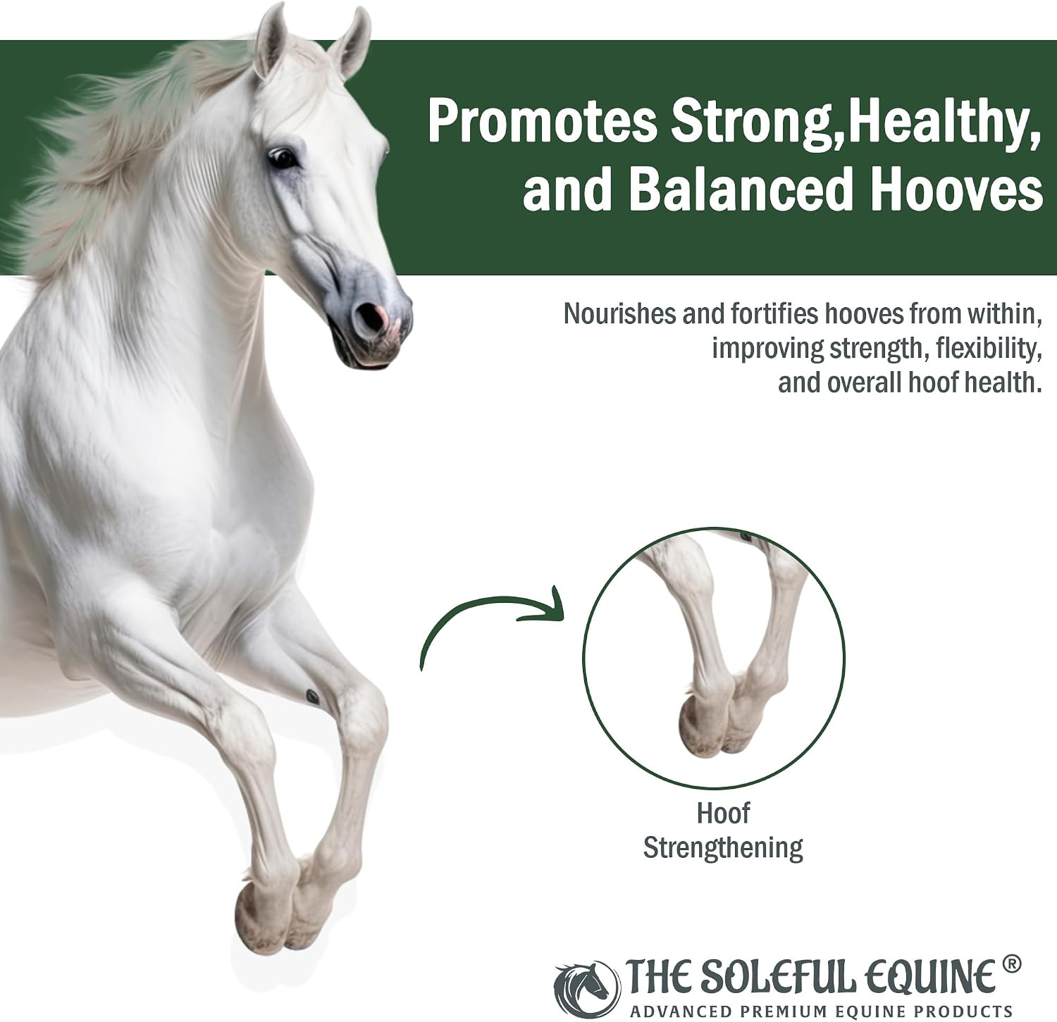 Natural non toxic horse hoof care oil showing certified organic ingredients list