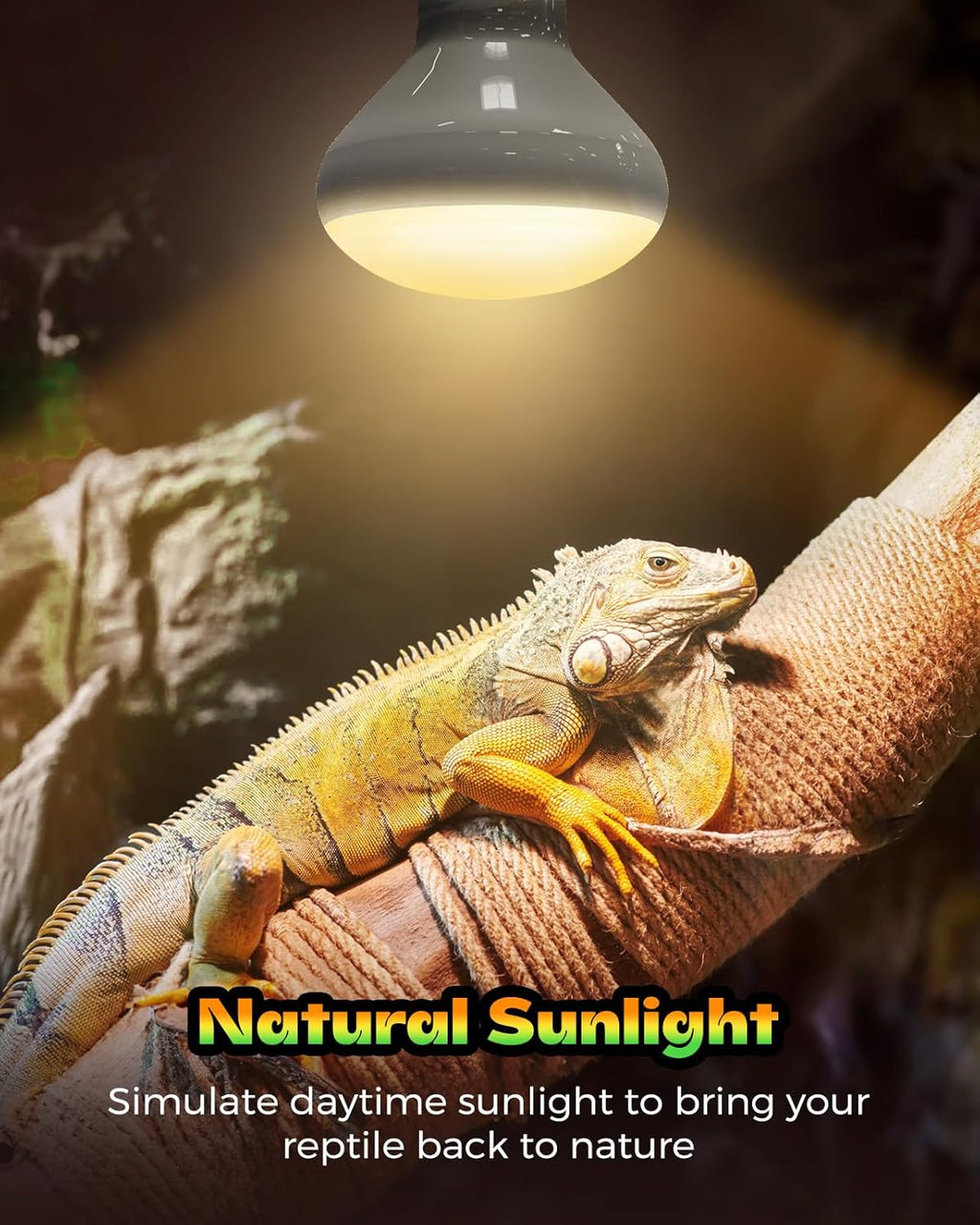 REPTI HOME 100W basking spotlight bulb emitting uniform UVA heat inside a reptile terrarium enclosure.