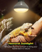 REPTI HOME 100W basking spotlight bulb emitting uniform UVA heat inside a reptile terrarium enclosure.