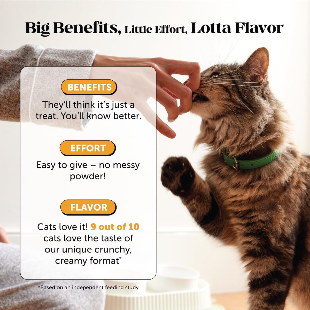 Pet Honesty immune support nutritional supplement ingredients label