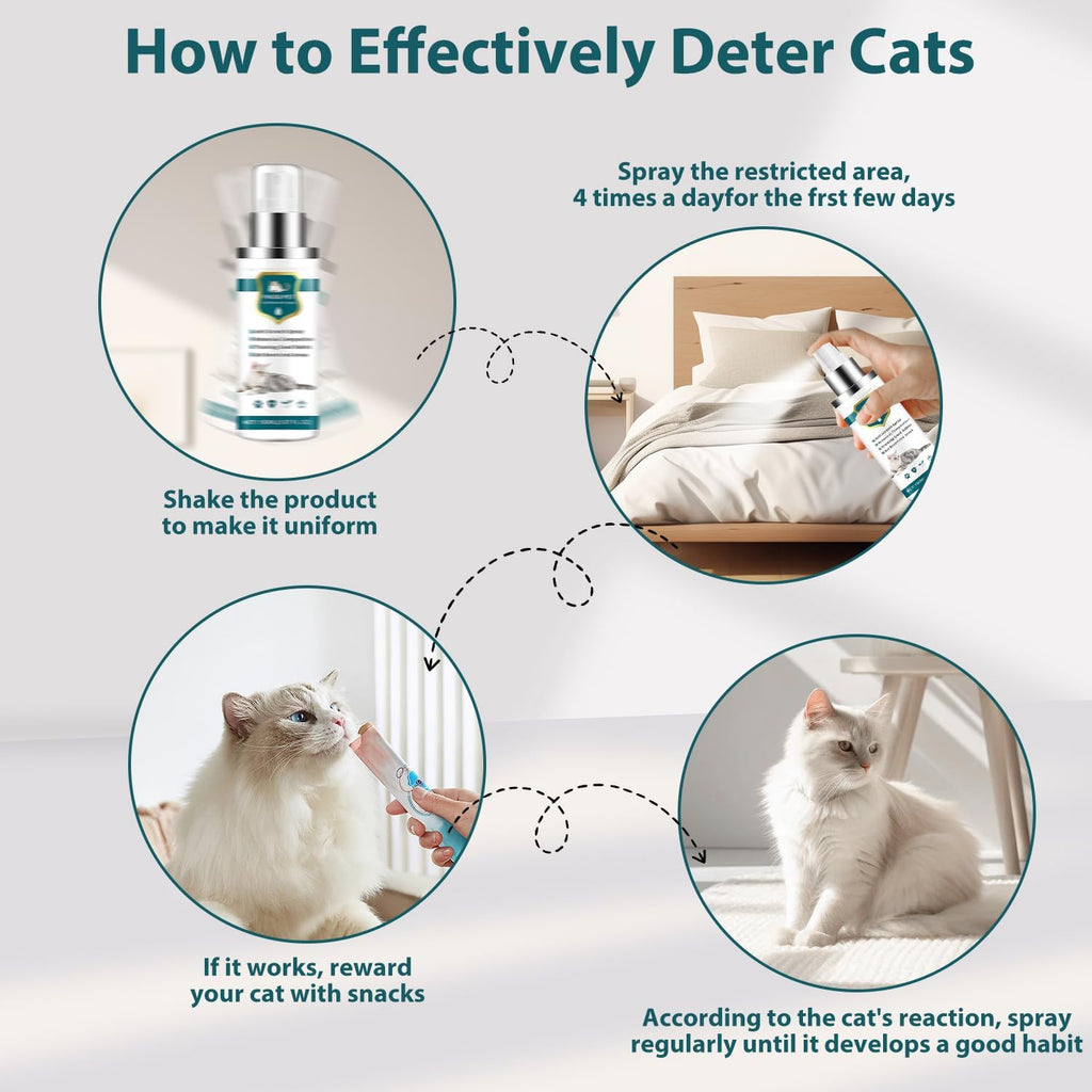 Instructional graphic for applying cat deterrent spray to rugs and curtains.