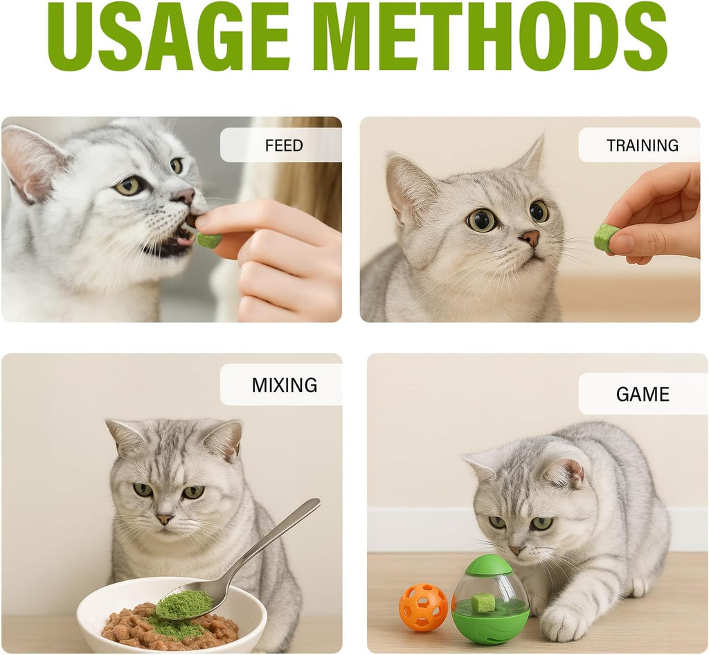 Step by step setup instructions for the mess free feline grass grower