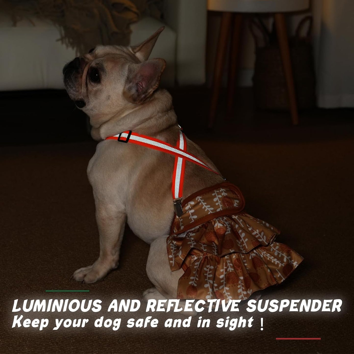 Premium choke-free 3-webbing dog suspenders for small dogs imported from USA