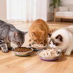 [8 Pack] Stainless Steel Cat Bowls, Cat Dishes Whisker Friendly with Non-Slip Silicone Bottom, Easy to Clean, 5.5" Shallow Wide Cat Food and Water Feeding Bowl for Indoor Outdoor Cats - Image 7
