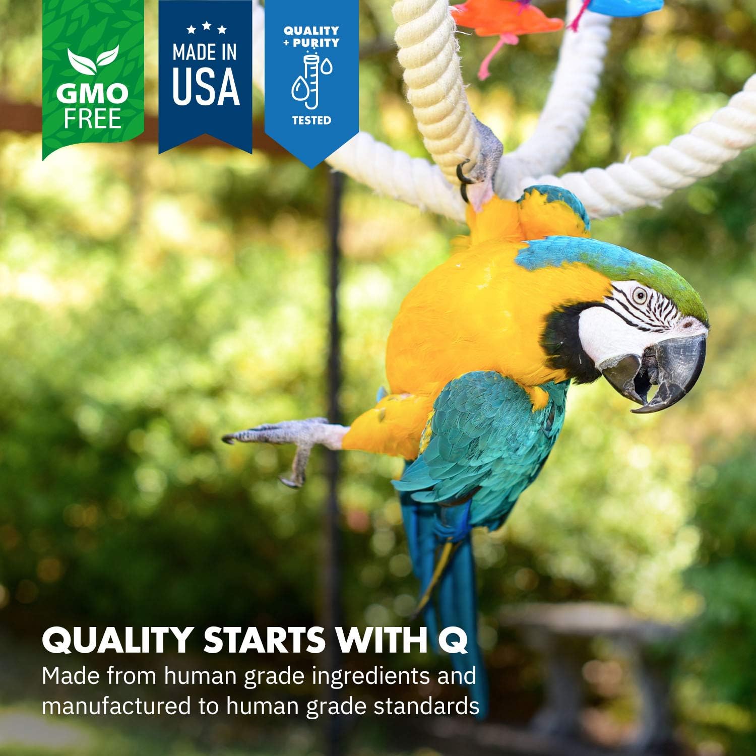 Premium all natural avian probiotics powder for parrot digestive health