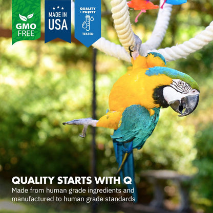 Premium all natural avian probiotics powder for parrot digestive health
