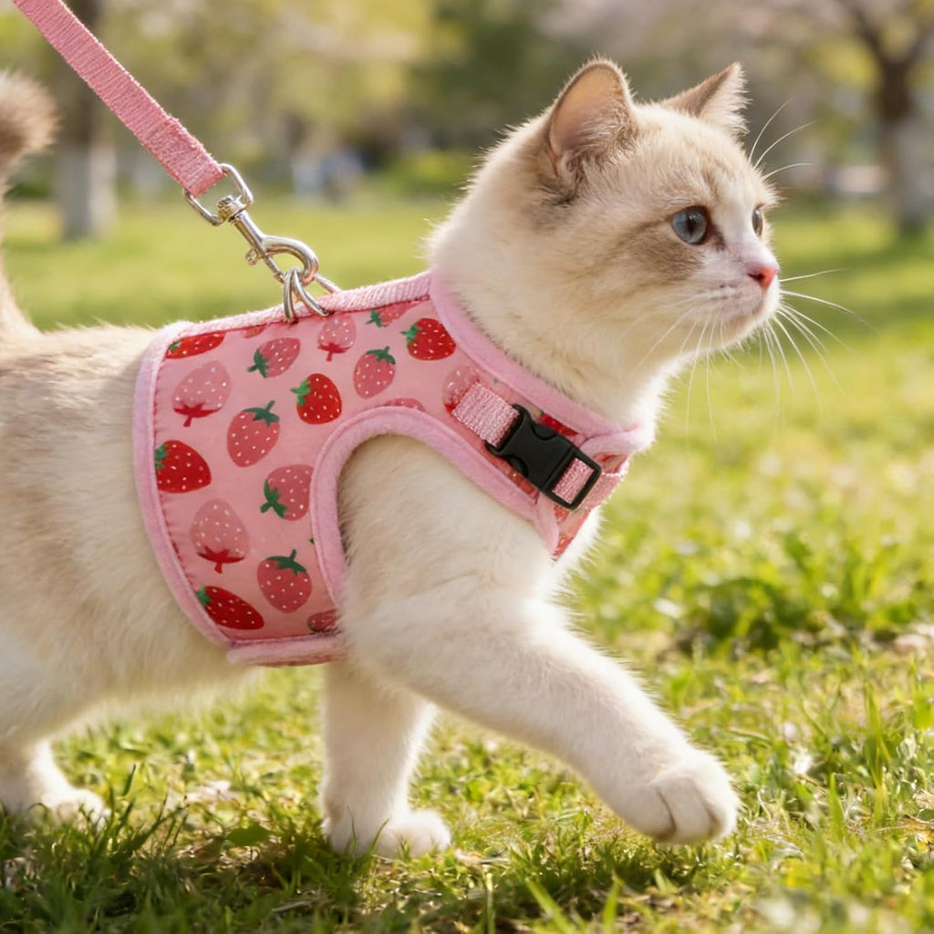 Bingpet secure escape proof walking vest for small medium and large cats