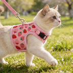 Bingpet secure escape proof walking vest for small medium and large cats