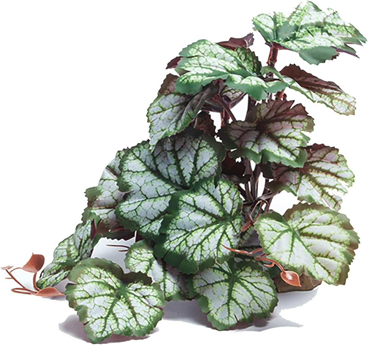 Woyrise artificial saxifrage reptile plant front view for terrarium decor