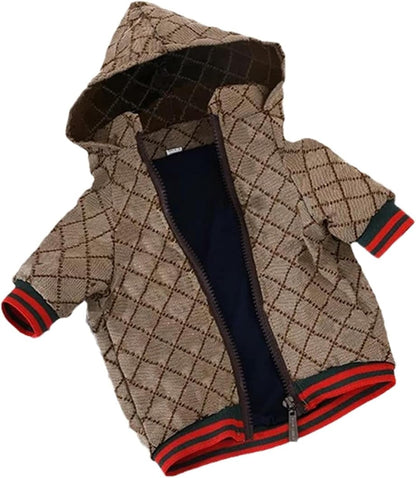 Small dog wearing designer winter hoodie jacket
