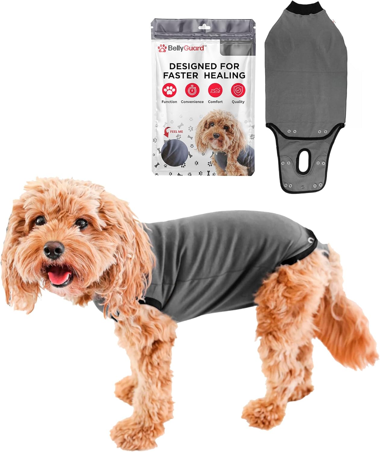 BellyGuard Dog Surgery Recovery Suit, Post-Op Dog Recovery Suit for Female Spay & Male Neuter, Comfy Onesie for Pets, Surgical Body Cover for Canine Healing Support - Image 13
