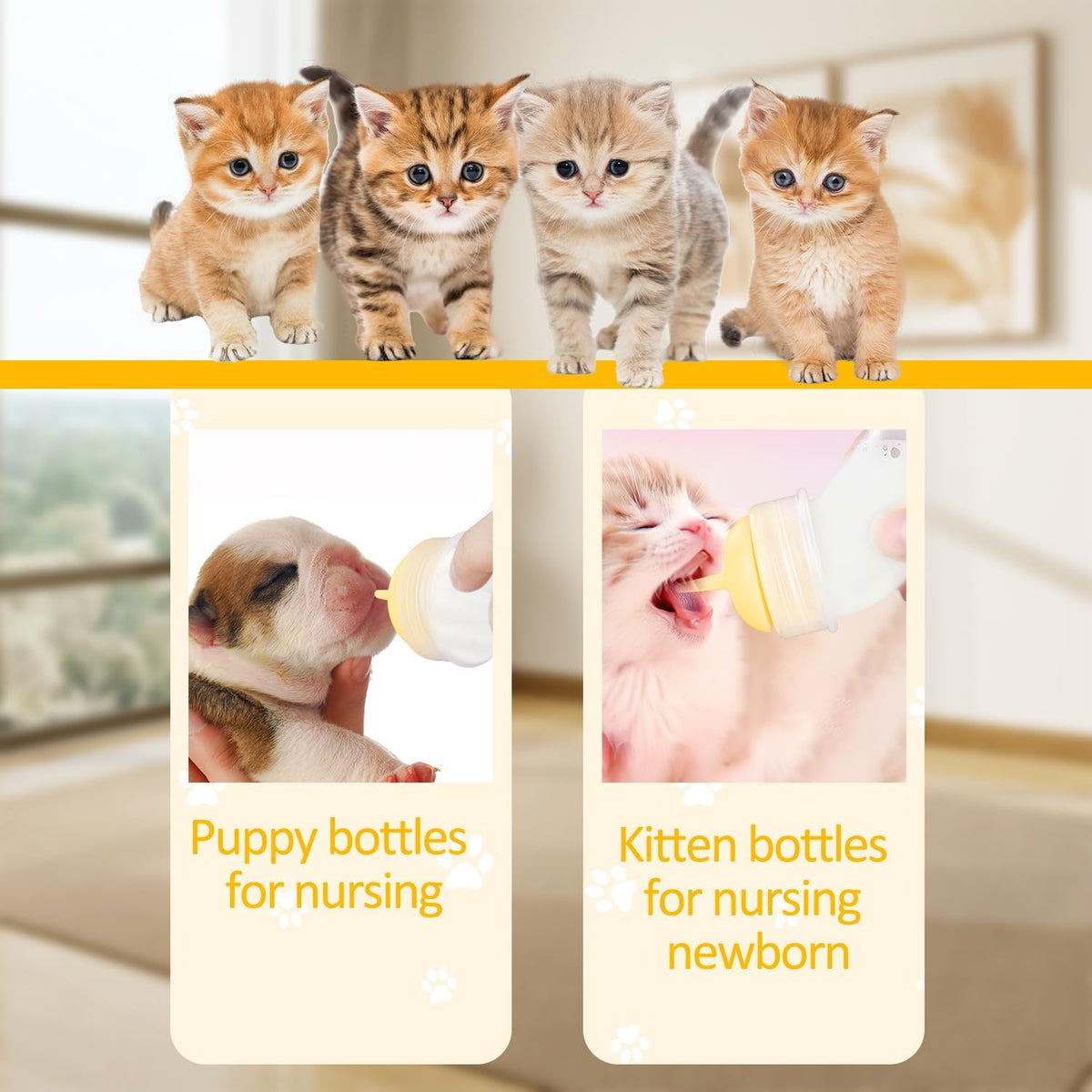 Top angle view of the non-toxic BPA-free animal nursing kit elements showcasing the various measurement indicators.