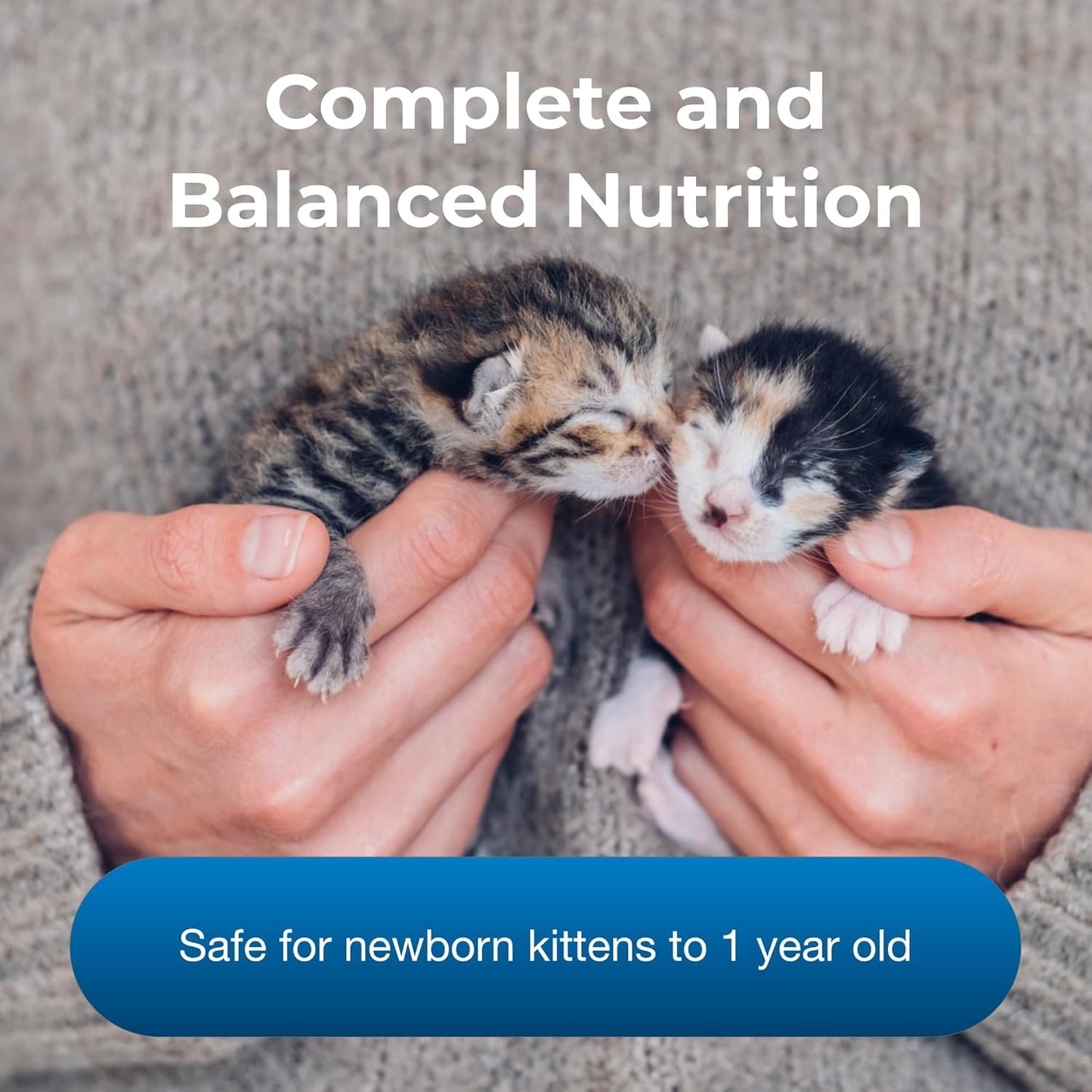 USA imported PetAg PetLac kitten formula powder for easy digestion