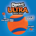 Small dog fetching Chuckit! Ultra Ball on grass