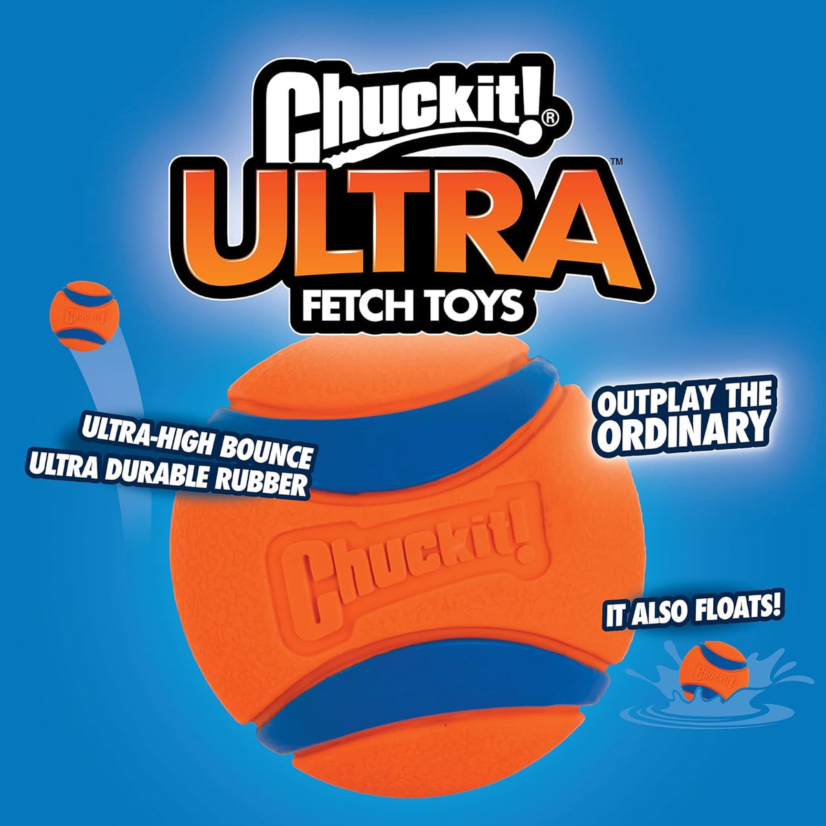 Small dog fetching Chuckit! Ultra Ball on grass