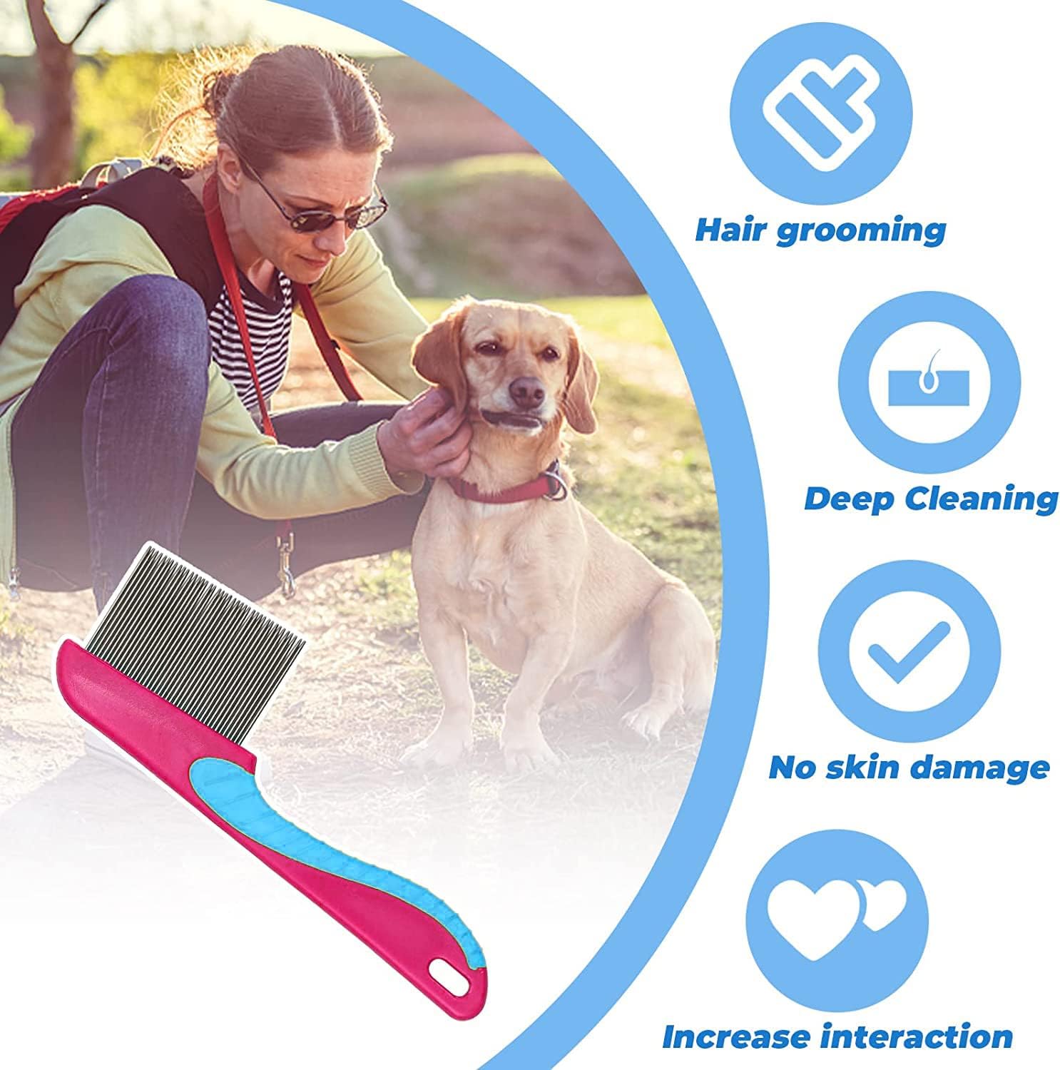 Pet care tick remover tools on a white background