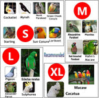 Qbleev 2 pack bird diapers displayed together in multiple colors