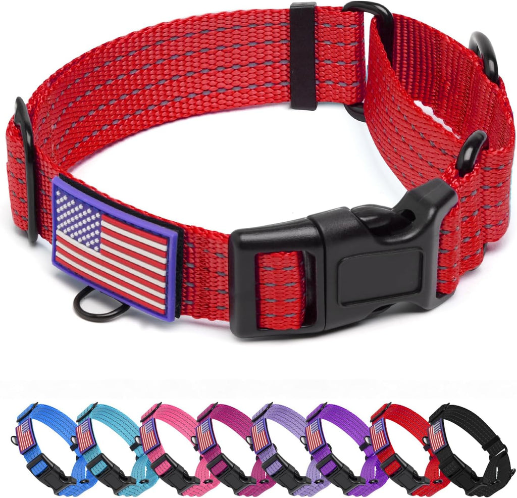 Dog wearing red martingale training collar outdoors