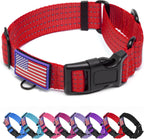 Dog wearing red martingale training collar outdoors