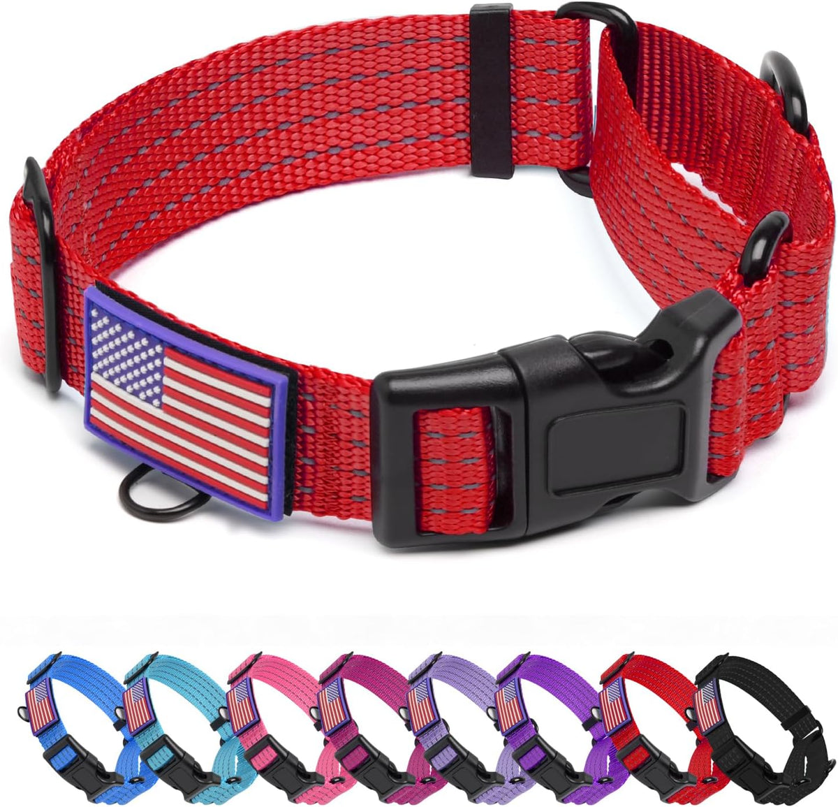 Dog wearing red martingale training collar outdoors