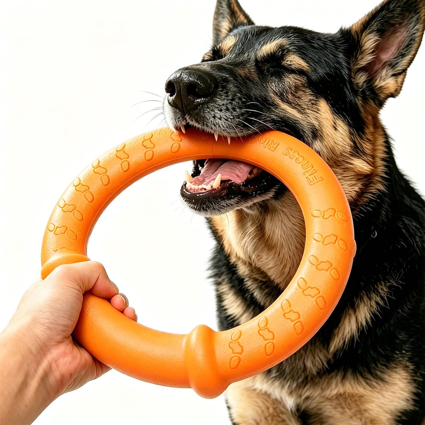 LaRoo Dog Ring Toy, Durable Soft Flying Disc for Throwing Catching Grabbing, Water Floating Dog Training Fetch Ring for Medium Large Breeds, Outdoor (Green/11.8Inch) - Image 11