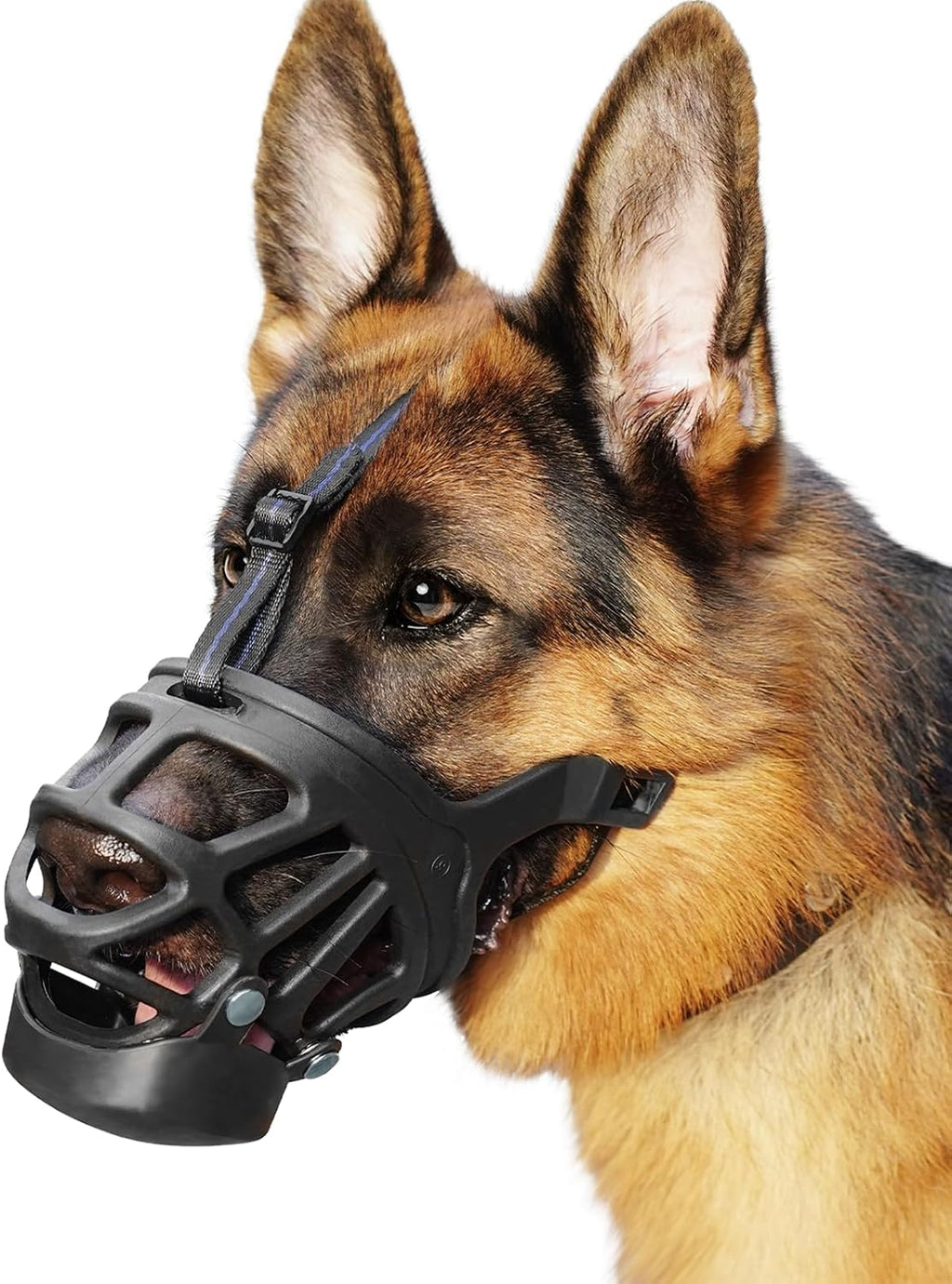 Barkless basket muzzle for large dogs front view