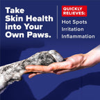 OxyMed medicated spray for dogs targeting itchy skin and redness