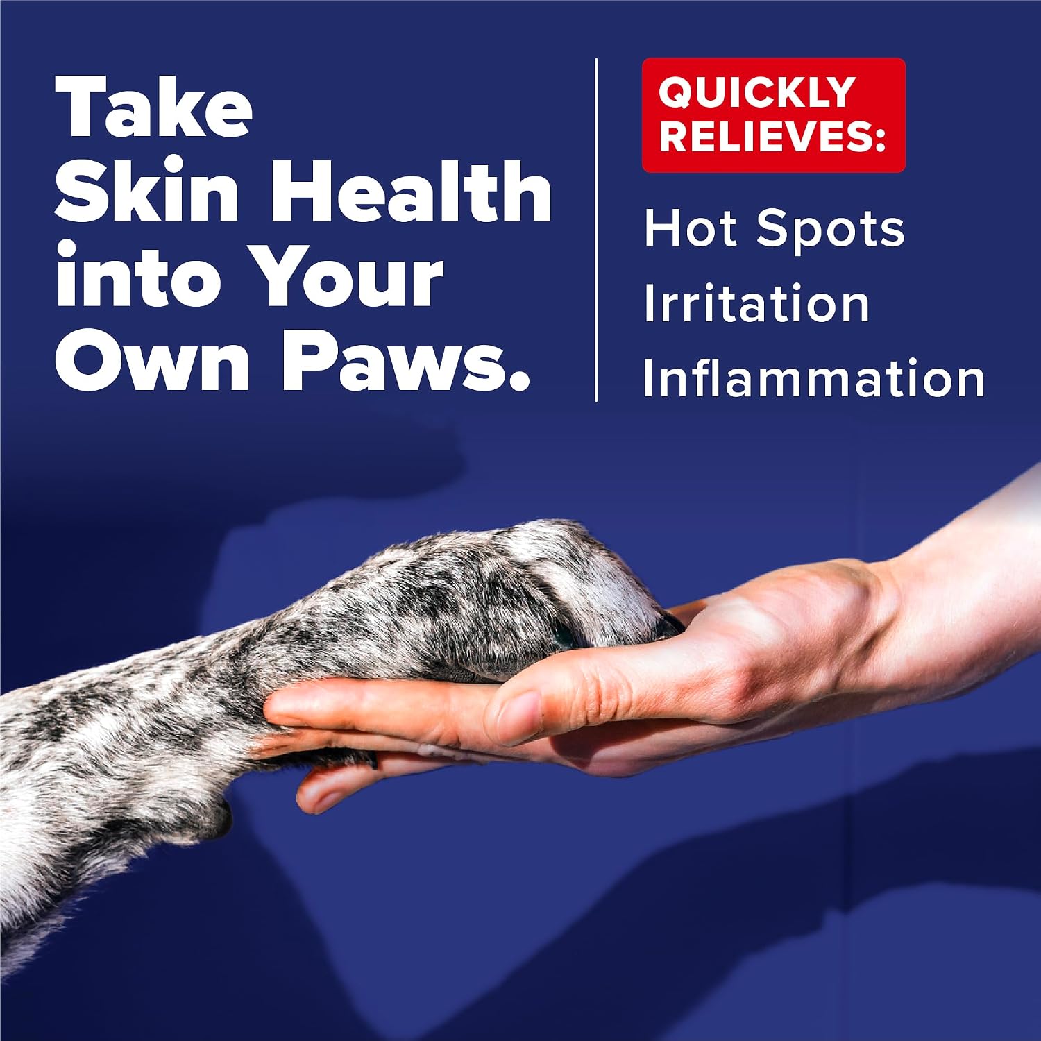 OxyMed medicated spray for dogs targeting itchy skin and redness