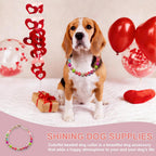 A large dog posing with the 20 Millimeter chunky pink bead necklace for a festival photoshoot.