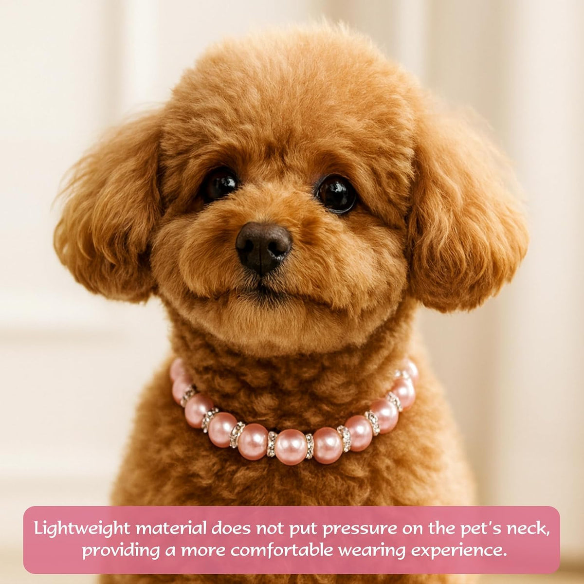 Detailed view of the delicate ribbon bow and diamond like embellishments on the collar.