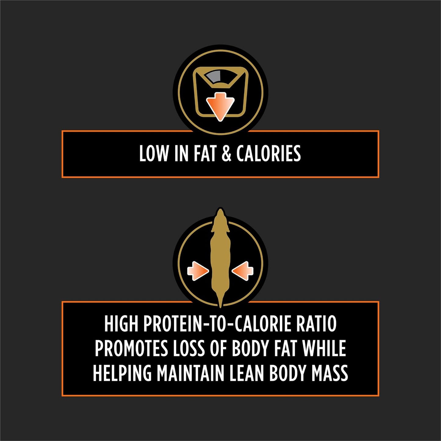 Purina OM Overweight Management dry dog food packaging showing authentic premium import label.