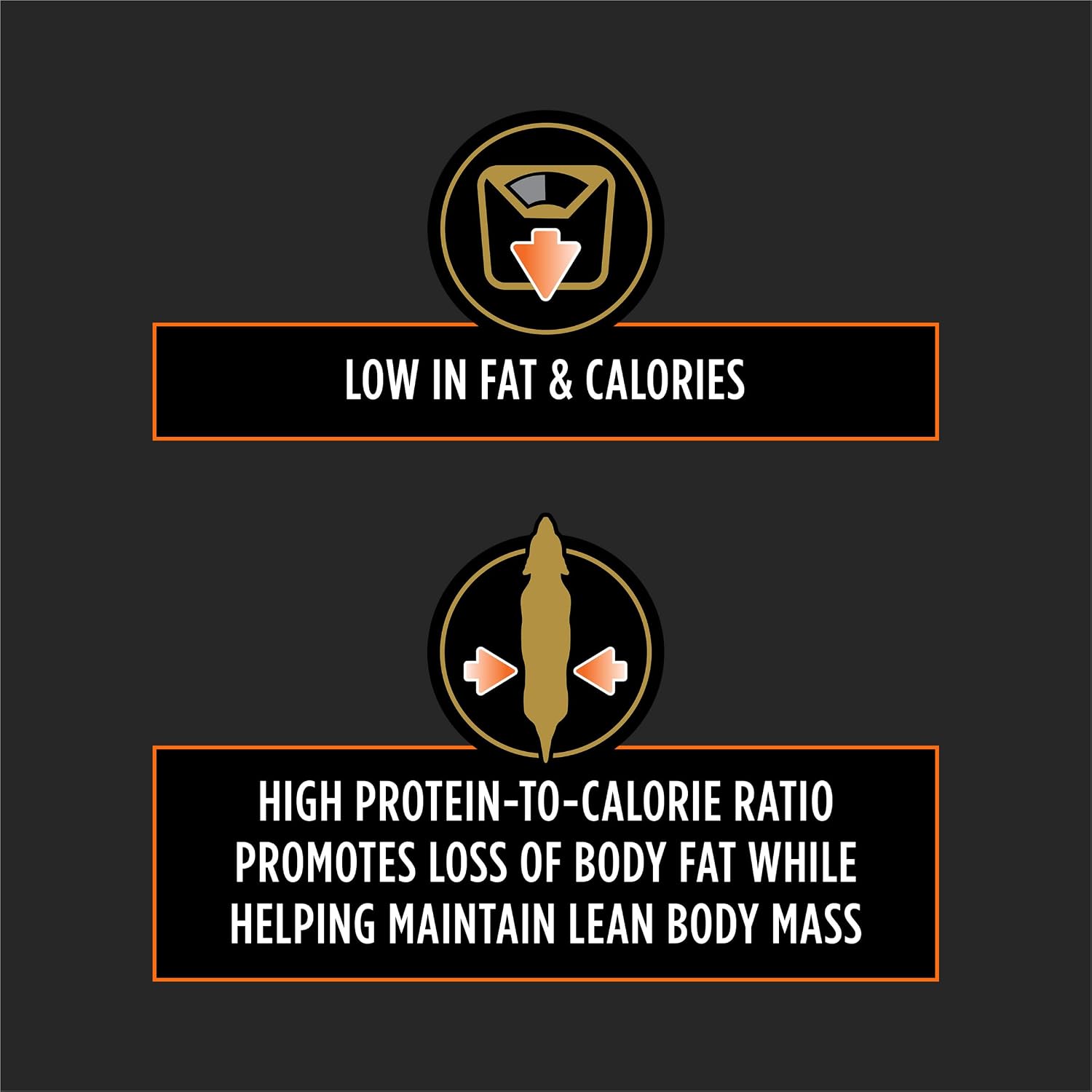 Purina OM Overweight Management dry dog food packaging showing authentic premium import label.