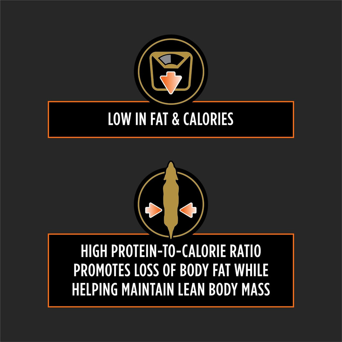 Purina OM Overweight Management dry dog food packaging showing authentic premium import label.