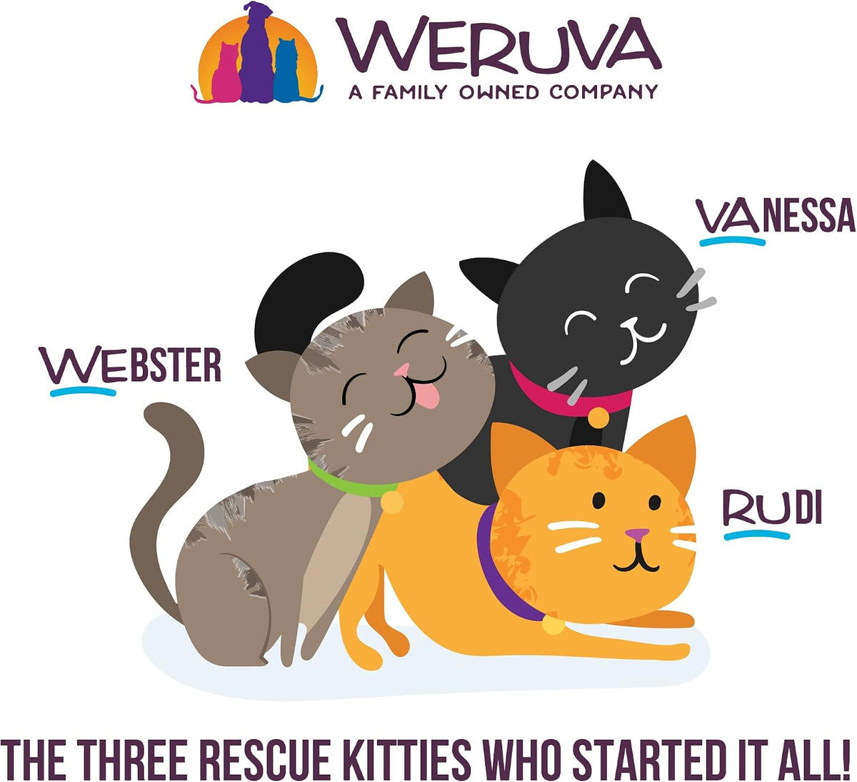 Weruva Slide N' Serve Pat Wet Cat Food, The Showcase Chowdown Variety Pack, 2.8oz Pouch, Pack of 16 - Image 10