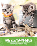 Cat chewing on natural silvervine dental stick