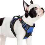 rabbitgoo Dog Harness for Large, No Pull Easy On & Off with 3 Buckles Pet Harness, Adjustable Soft Walking Vest with 2 Clips and Handle, Reflective for Large Dogs, Blue, L - Image 9