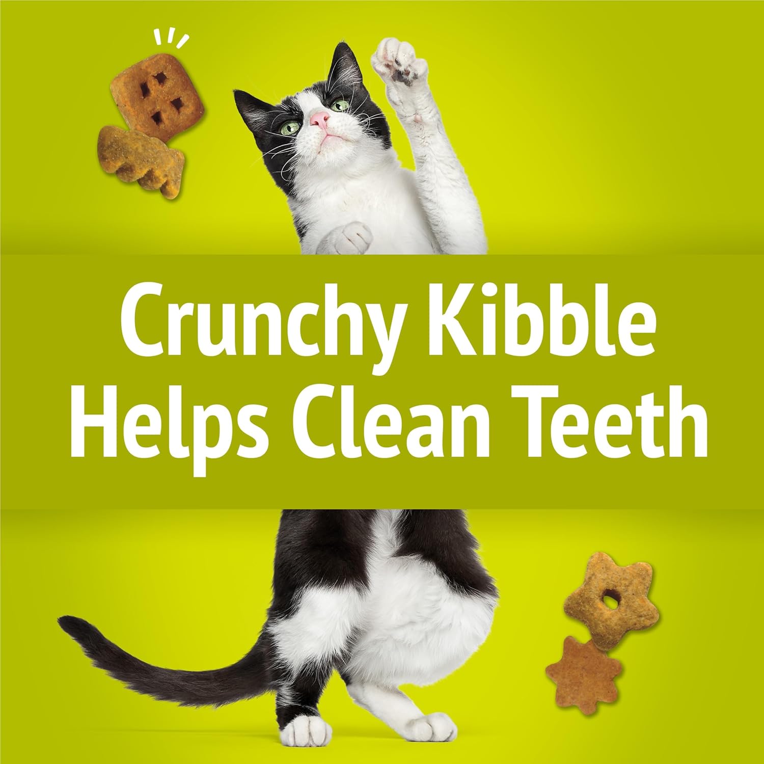Authentic imported USA Friskies cat treats packaging for premium pet dental health care