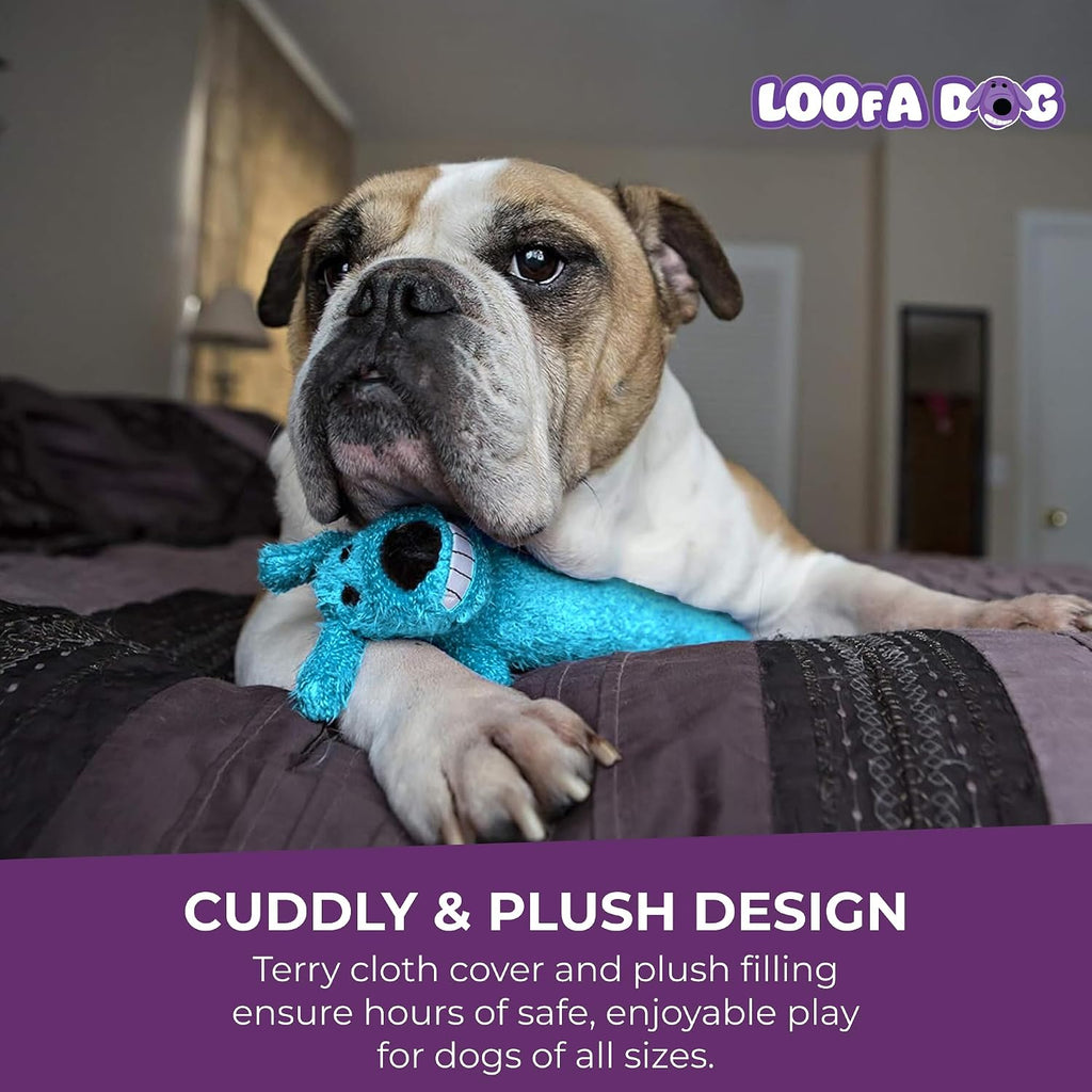 Dog playing with Multipet Loofa birthday plush toy