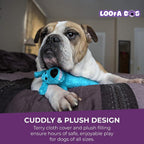 Dog playing with Multipet Loofa birthday plush toy