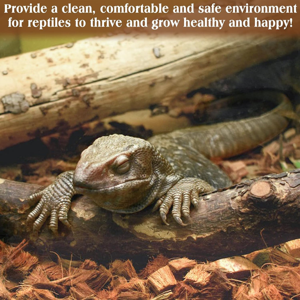 Reptile habitat setup with coconut chip substrate