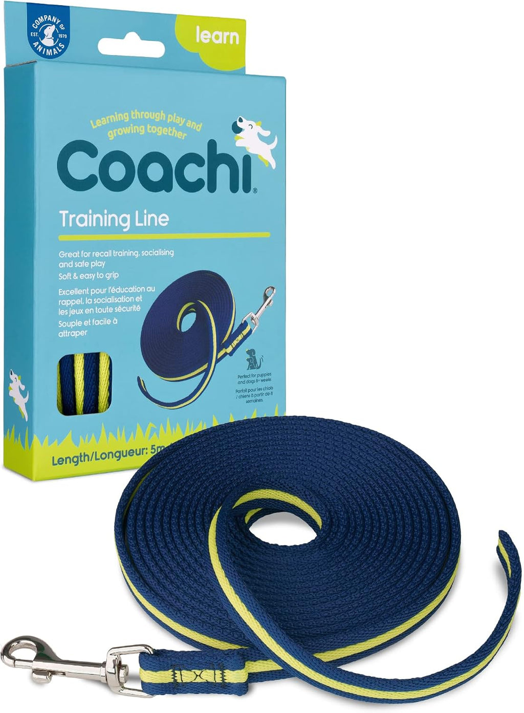 Using the Coachi mini training line for puppy toilet training guidance.