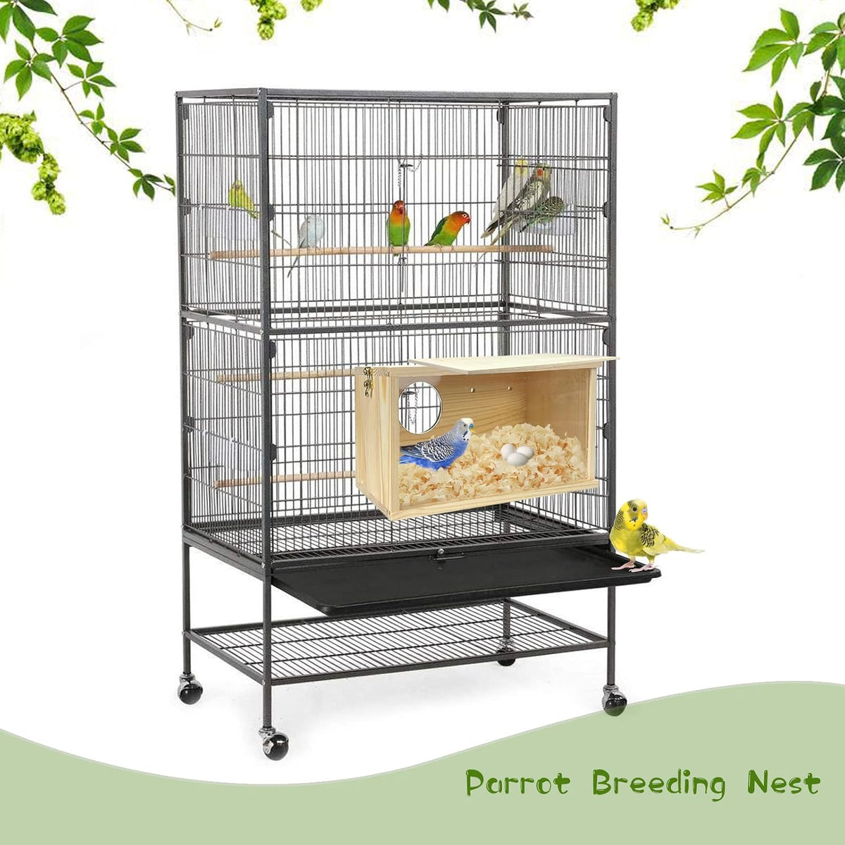 Parakeet Nesting Box Cockatiel Nesting Natural Pine Bird Nest Bird Breeding Box House Acrylic Transparent Bird Box with Detachable Wooden Board for Lovebirds Cockatiel Budgie Conure Parrot L - Image 6