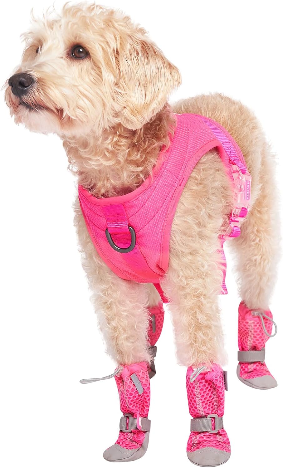 Adjustable Canada Pooch dog shoes for summer paw protection