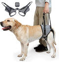 Cneo dog lift harness front view for large dogs