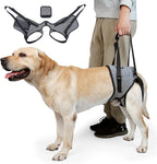 Cneo dog lift harness front view for large dogs