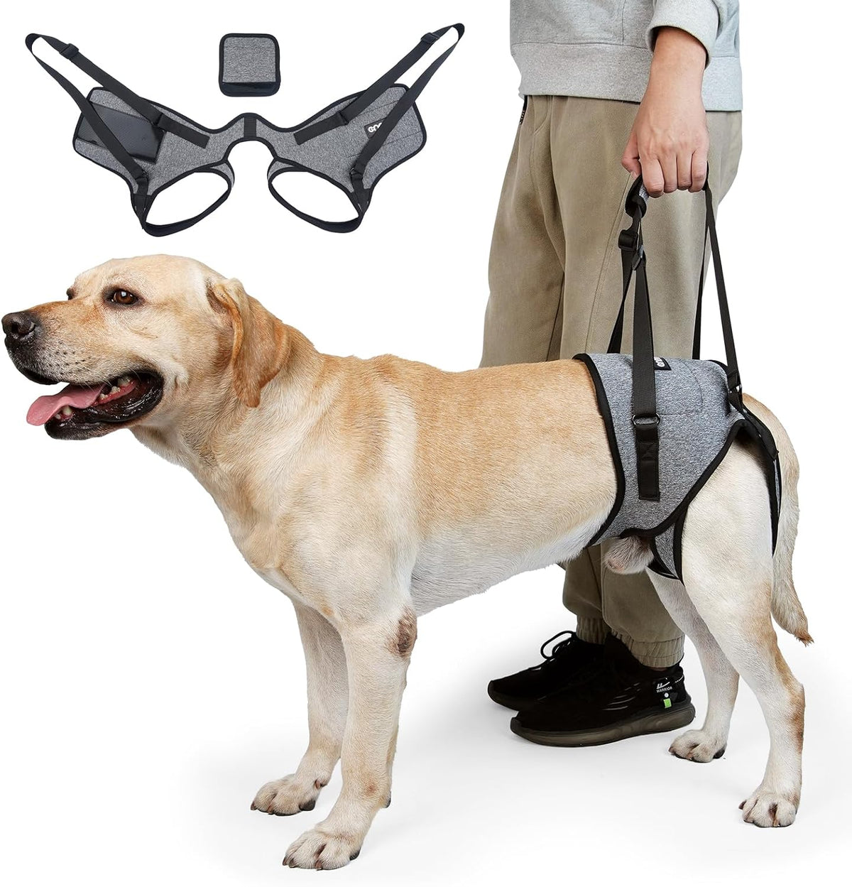 Cneo dog lift harness front view for large dogs