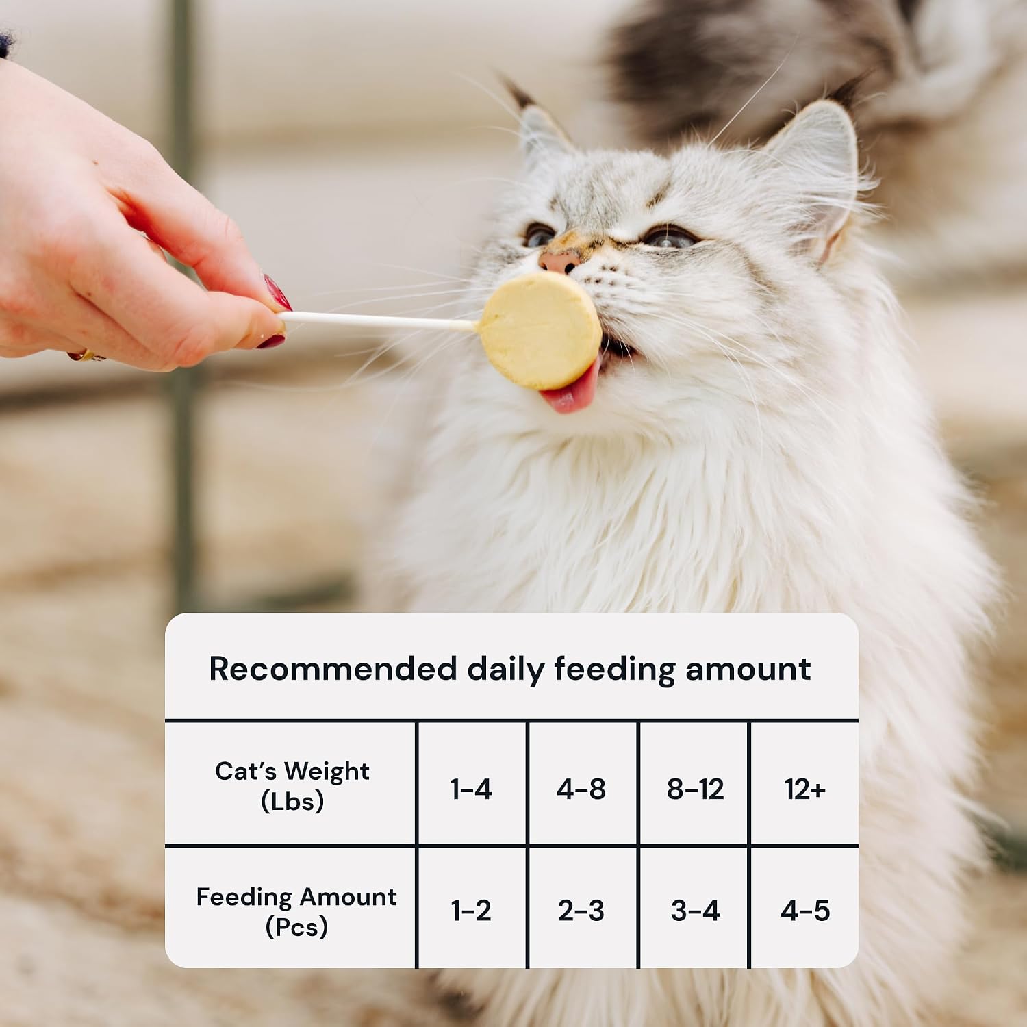 Nutritious grain free cat food topper being crumbled over a regular feline meal bowl.