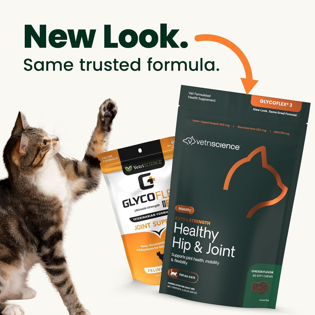 VetriScience chicken flavored soft chews for cats close up